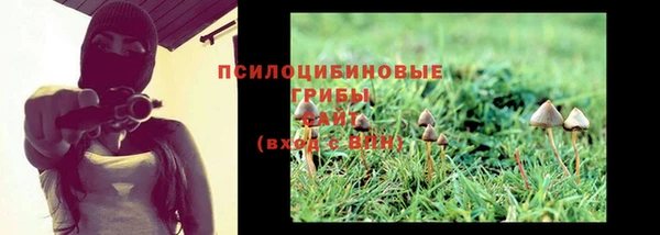 герыч Ельня