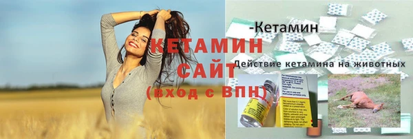 PSILOCYBIN Елабуга