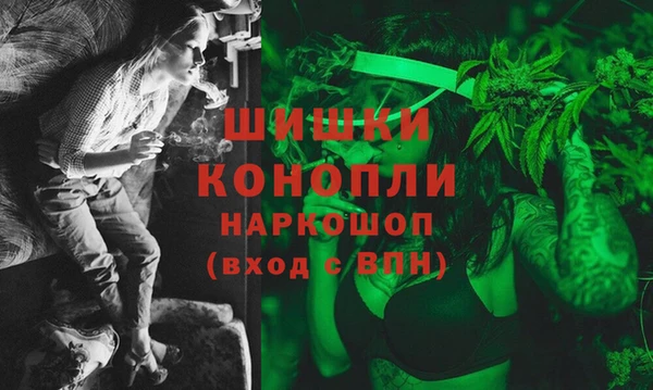 PSILOCYBIN Елабуга