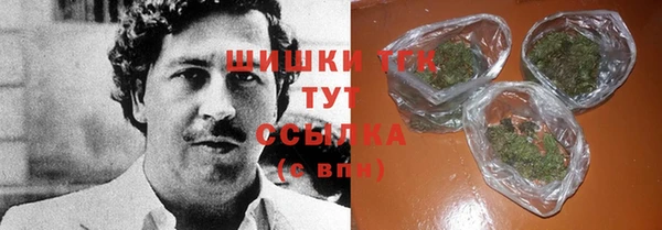 герыч Ельня
