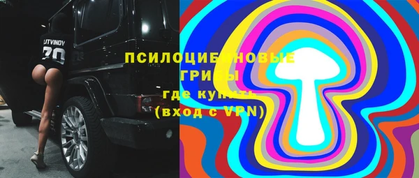 герыч Ельня