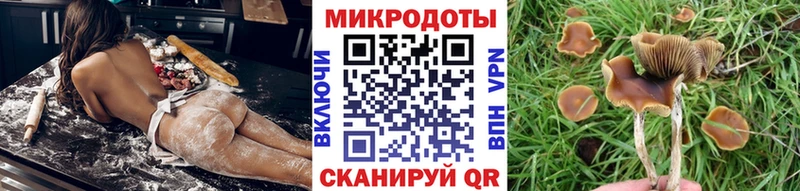 Псилоцибиновые грибы мухоморы  Зубцов 
